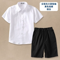 Карман без воротника+черные шорты