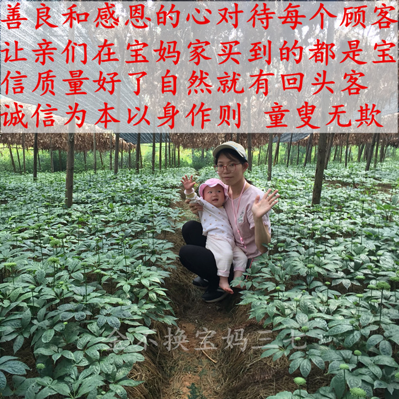 东方甄选自营号：农产品直播的新时代
