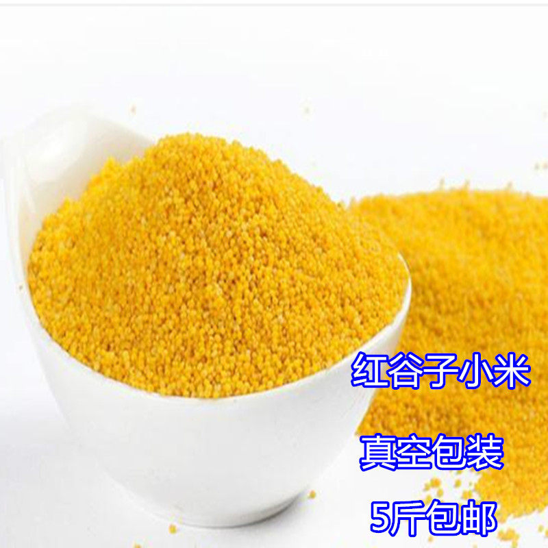 Northeast Inner Mongolia Peak Quality Red Valley Millet Millet Moon Submi Vacuum Packing 5 Jin Farmyard Nutritional Porridge Rice