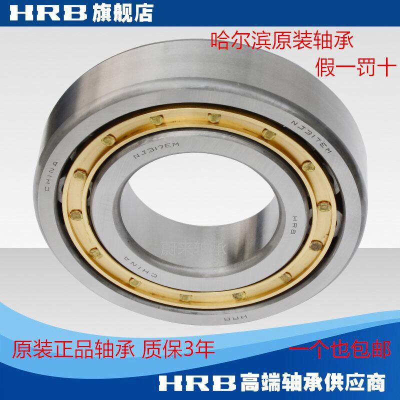 Harbin cylindrical roller bearing RN309M RNU309M NF309EM