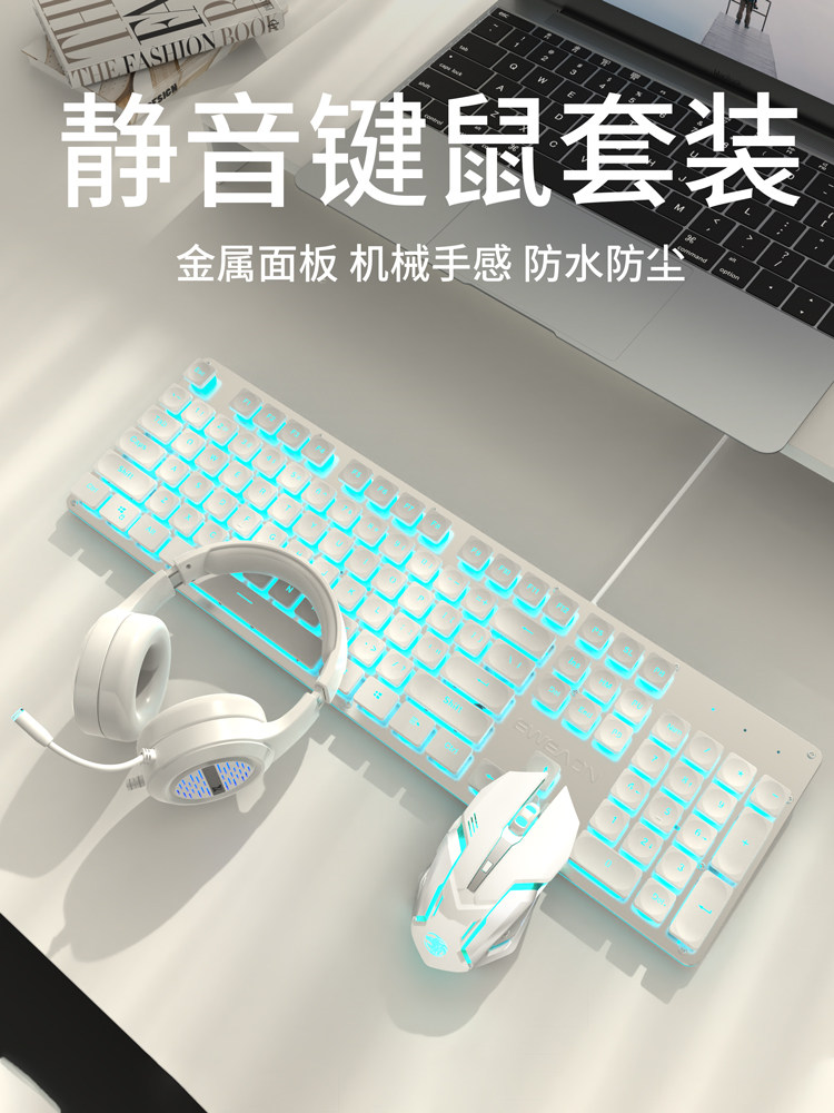Silent Keyboard, Wired Mechanical Feel Mouse Set, Dedicated for Girls' Office Notebooks and Writer's Typing