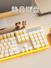 Forerunner Keyboard and Mouse Set, Silent Wired Mechanical Feel, Gaming, Office Typing, Girls' Notebook, Silent