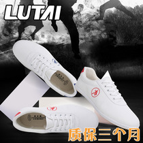 Martial arts shoes Martial arts school tai chi shoes men and women youth elderly children sports training shoes Canvas beef tendon bottom practice shoes