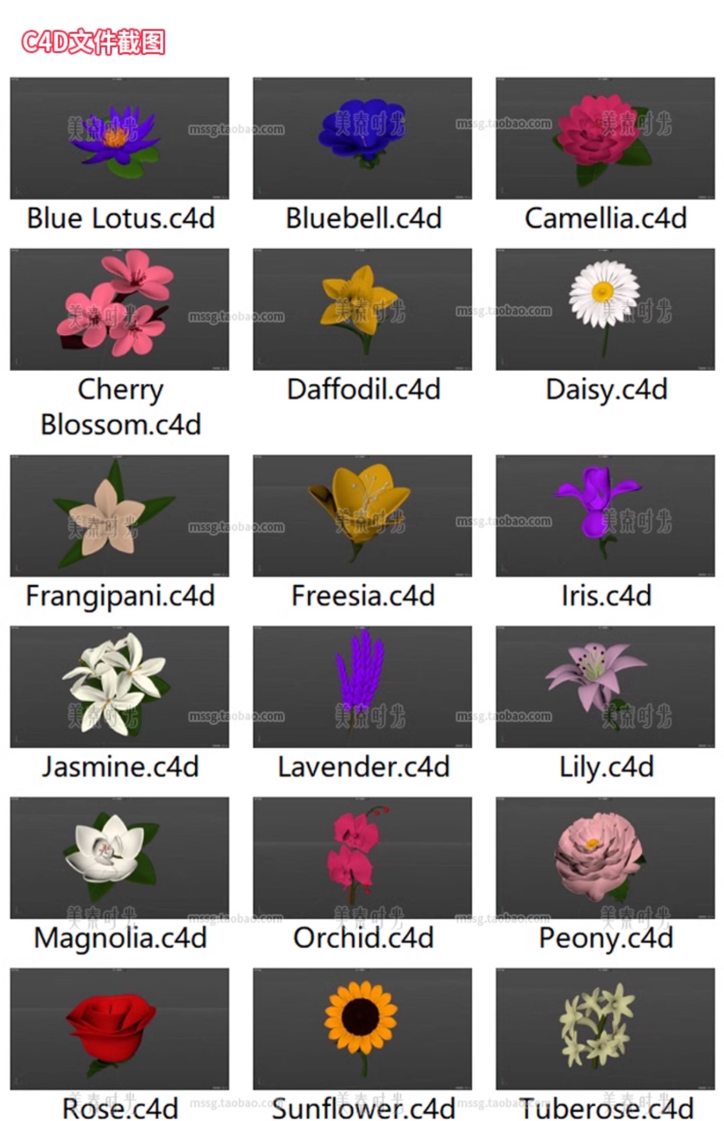 图片[3]-卡通花卉鲜花向日葵郁金香莲花菊花百合花朵3D立体C4D模型obj素材-cg男孩