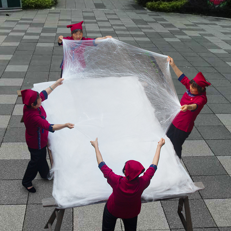 5A selected grade double-palace silkworm cocoon brand silk quilt 100% mulberry silk air conditioning quilt by winter by the spring
