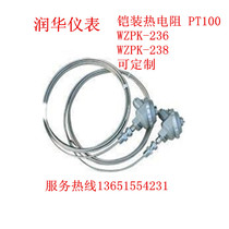 Armored thermal resistance WZP-236 -238-235 Can be customized with various specifications of PT100 temperature sensor probe