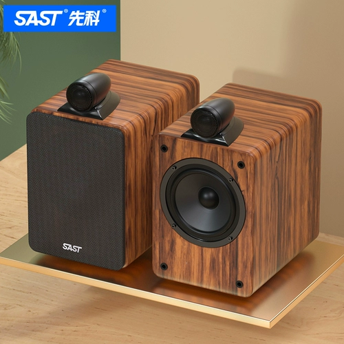 SAST/先科 Lezun № 5 Профессиональная лихорадка Hifi Мониторинг динамика из книжного камня 5 -дюймовый бас высокий уровень высокого уровня.