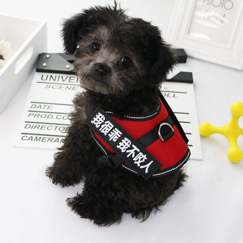 Dog Traction Rope Vest Style Walking Dog Rope Teddy Bib Bear Small Dog Breast Cuddling Bag Dog Necklace Pet Supplies