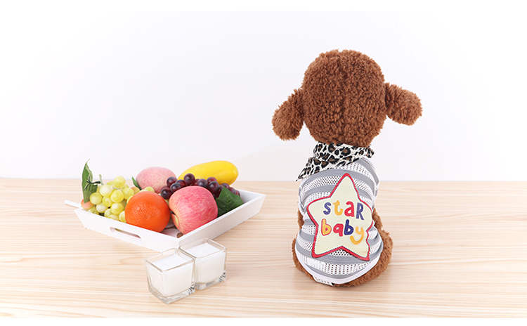 Quần áo chó mùa hè mỏng phần vest thoáng khí Teddy VIP hơn Xiong Bomei chó nhỏ mùa xuân và quần áo mùa hè quần áo thú cưng - Quần áo & phụ kiện thú cưng phụ kiện thú cưng