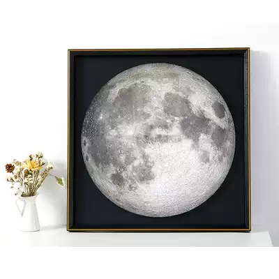 Aluminum alloy puzzle frame Canadian FourPoint Apollo 11 round moon moon 1000 pieces special frame