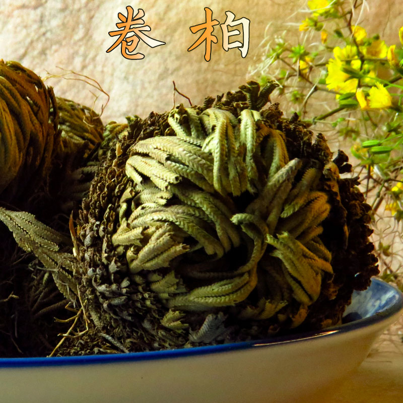 Chinese herbal medicine curry 9 dead and still soul grass See the water also Yangtgrass Long life grass Immortal grass 500 gr