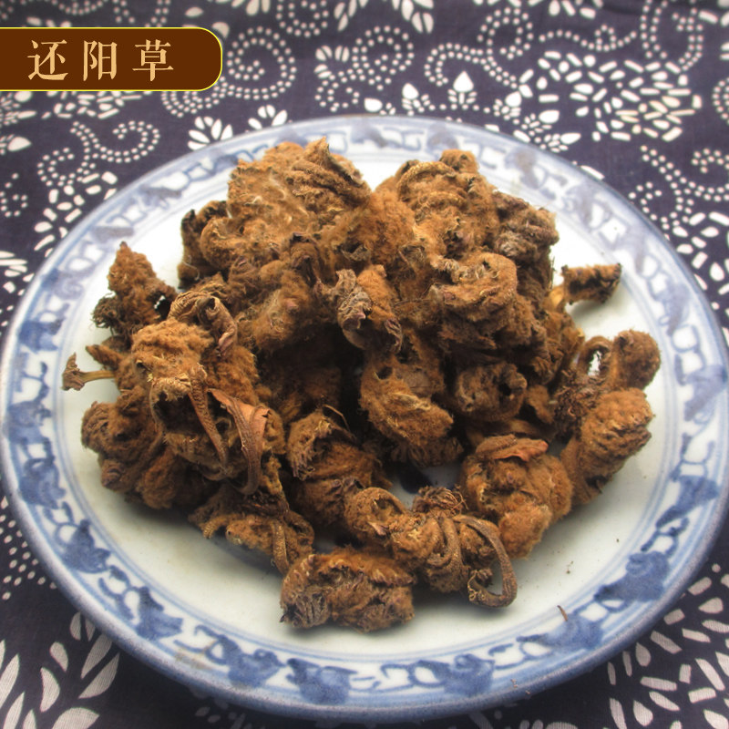 Iwa Baiyang also Yangtsun grass High altitude mountain cliffs growing with grass medicinal herbs 250 gr wild rock and still Yangtgrass