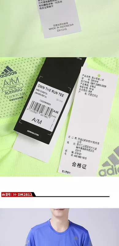 Adidas Adidas 19 mới đào tạo áo thun nam tay ngắn DQ3113 AZ4076 DX1312 - Áo phông thể thao