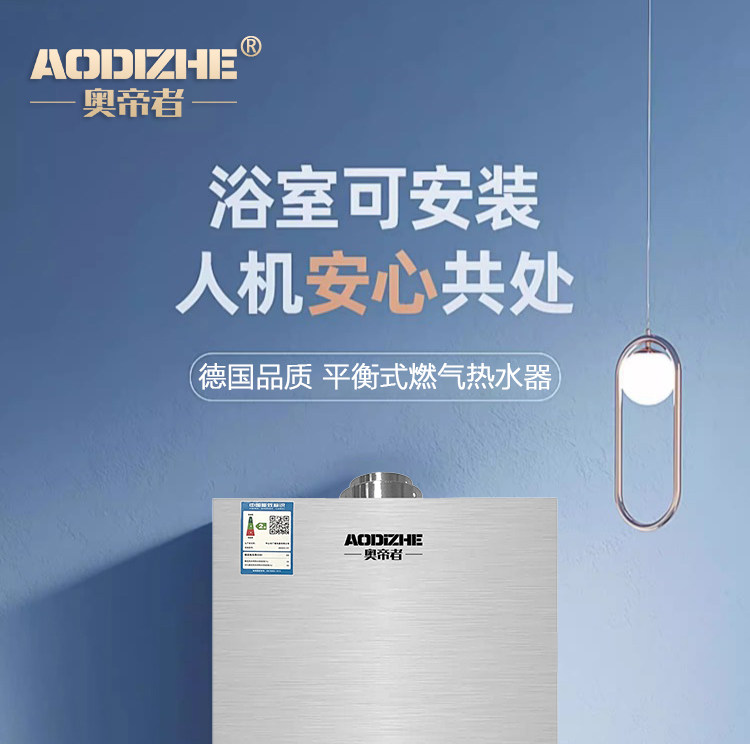 Газовый водонагреватель 正品平衡式燃气热水器家用液化气煤气款天然气洗澡恒温12升免水压 Zuanshihua