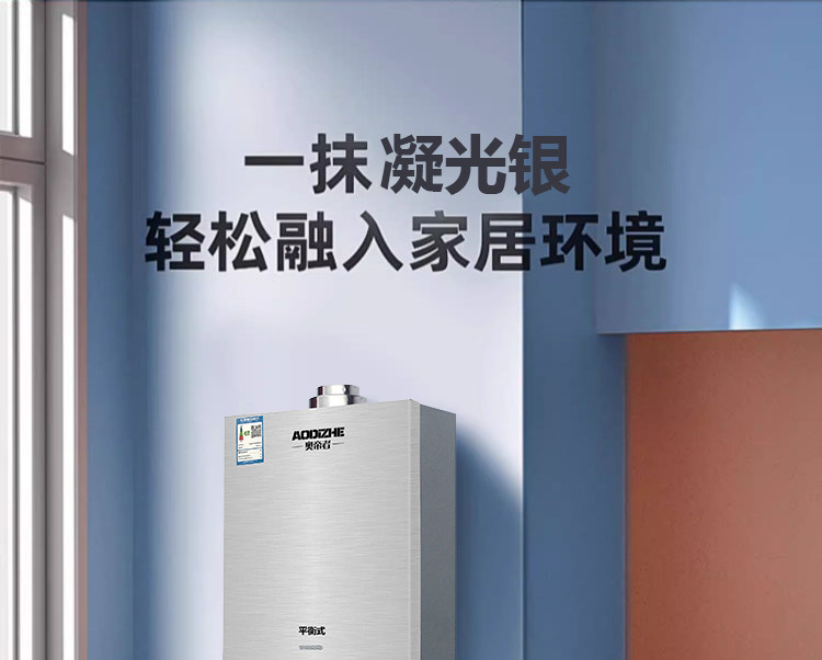 Газовый водонагреватель 正品平衡式燃气热水器家用液化气煤气款天然气洗澡恒温12升免水压 Zuanshihua