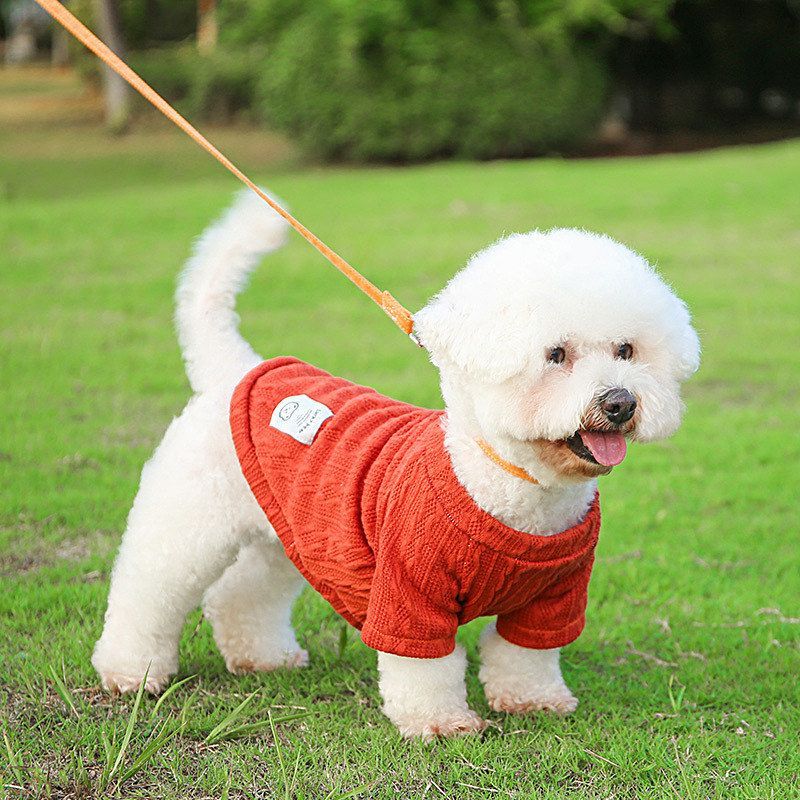 Pet Clothing Warm Sweater Bichon Teddy Dog Clothes Autumn and Winter Knit Sweater Base Layer Pet Clothing Warm Sweater Bichon Teddy Dog Clothes Autumn and Winter Knit Sweater Base Layer