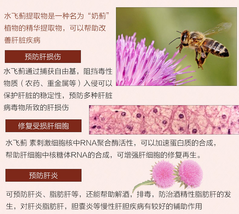 2 chai silybin viên nang 90 viên giải độc gan sản phẩm y tế gan cây kế gan và gan kho báu đêm và đêm nhập khẩu Mỹ - Thức ăn bổ sung dinh dưỡng viên uống dầu cá