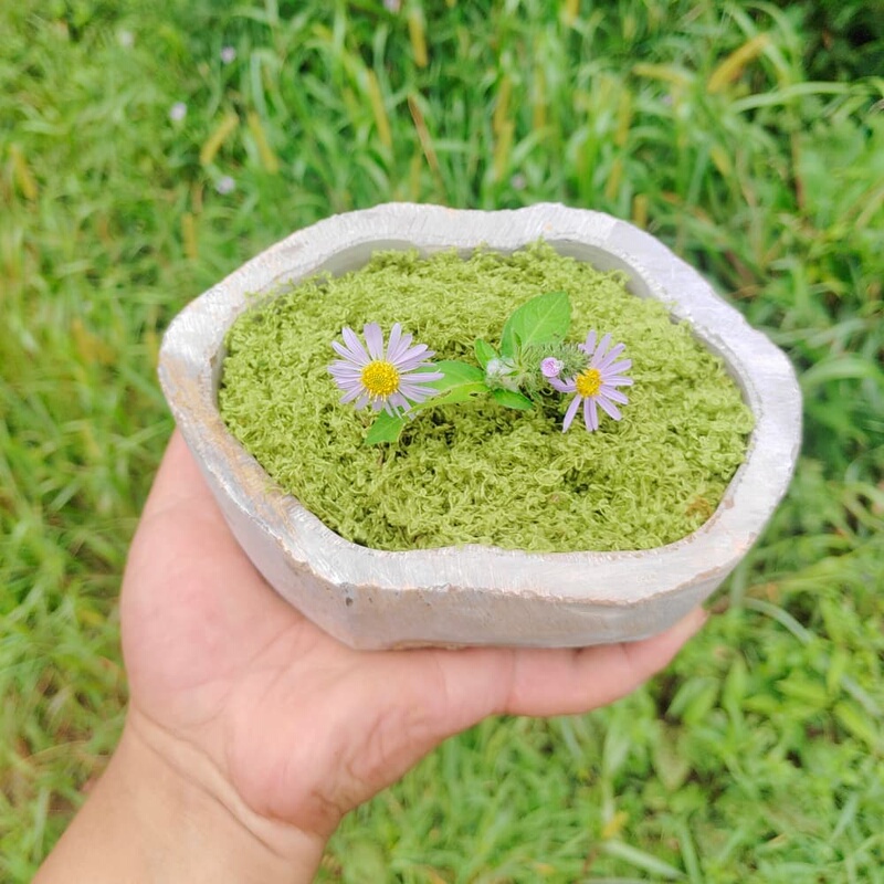 Stone Flower Pots, Creative Vases, Succulent Hydroponic Planting Containers, Money Grass, Calamus, Narcissus, Large Stone Pots, Personalized Stone Flower Pots, Creative Vases, Succulent Hydroponic Planting Containers, Money Grass, Calamus, Narcissus, Large Stone Pots, Personalized