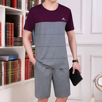 1665 Виноградный фиолетовый [короткие шорты+шорты]