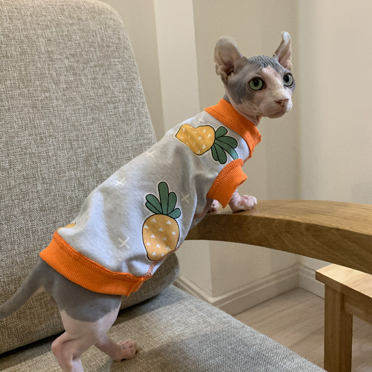 Spincks No Fur Cat Clothes Baby Grade Pure Cotton Knit Anti-Allergy Without Bone Stitching Technique Anti-Sweaters