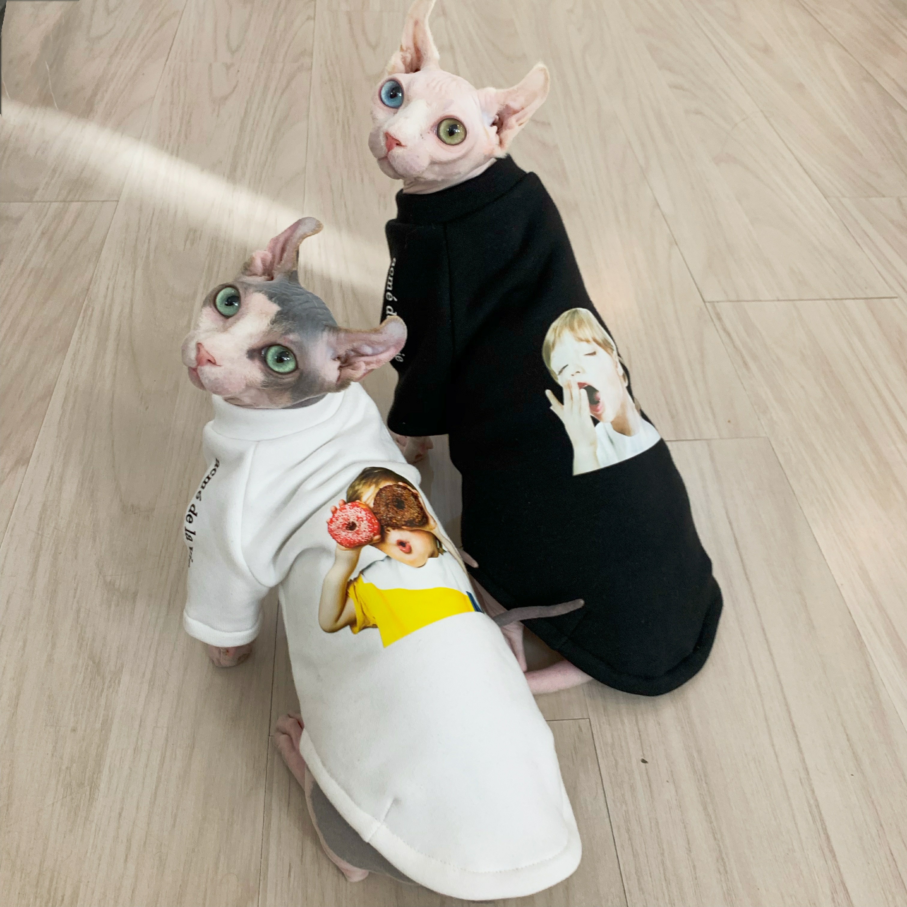 Svenx Devon No Mao cat clothes Spring and autumn season Chauffles Gardown warm beat Bottoms Clothes Pet Cat Clothes