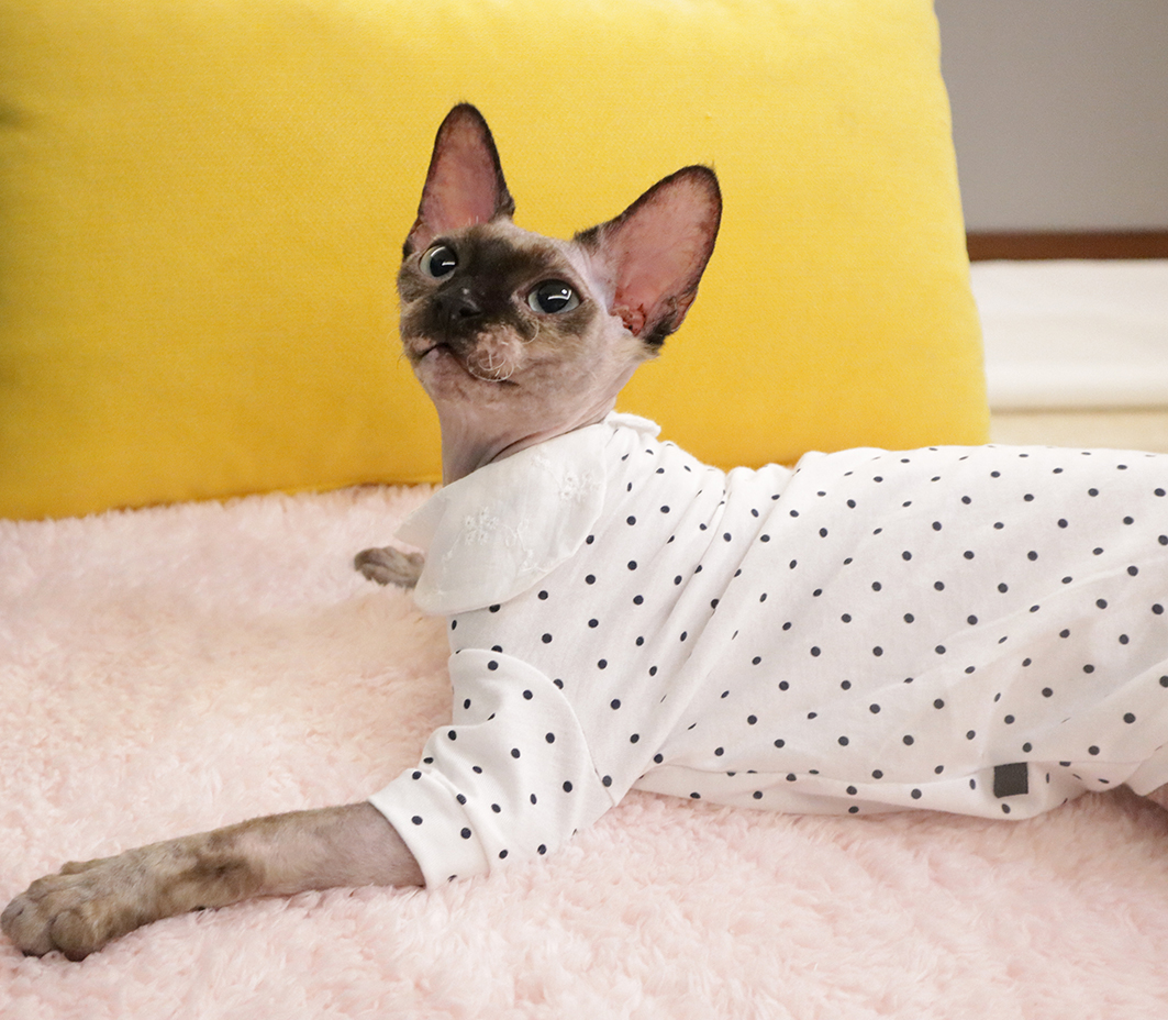 Spincks No Mao cat clothes pure cotton beating bottom thin spring autumn doll collar Long sleeves Devin curly fur cat clothes