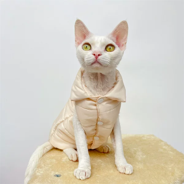 Товары от 卡拉米卡拉艾米宠物服装