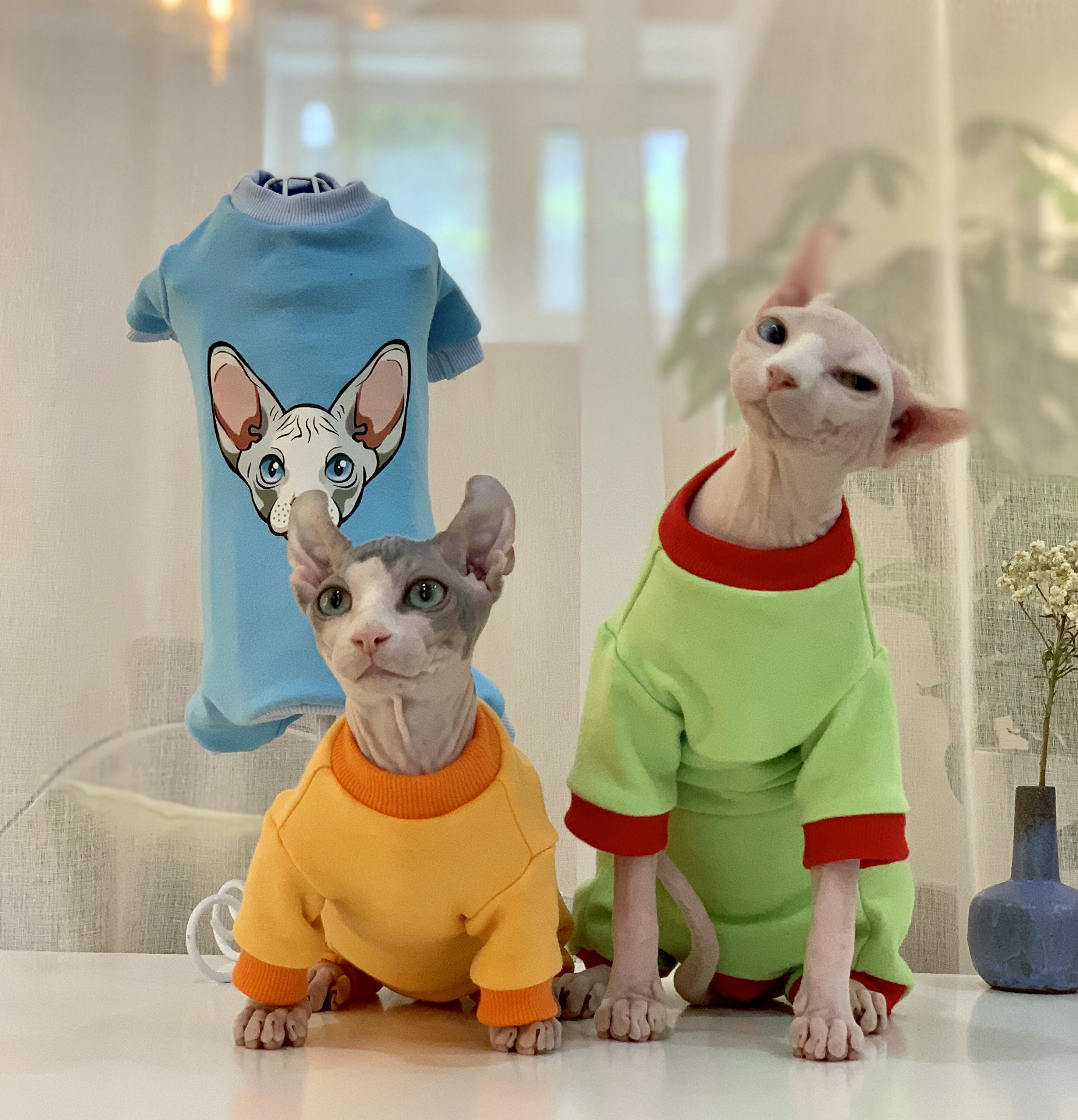 Sphinx hairless cat cotton in autumn and winter plus velvet padded warm four legs belly protection winter jacket
