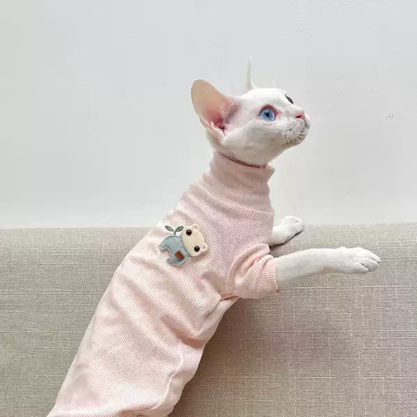 Товары от 卡拉米卡拉艾米宠物服装