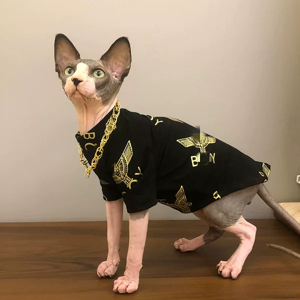 Товары от 卡拉米卡拉艾米宠物服装