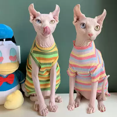 Spring Summer Sphenx no German hairy cat clothes dwarf foot vest with sleeve lace collar striped inner clothes cat clothes