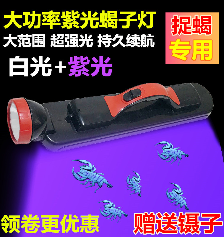Photos Scorpion Special Purple Light Torch Scorpion Lamp Catch scorpion with bean worm floodlight to charge hand lamp for 3000 meters