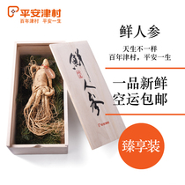 Shen Yes baby Pingan Jincun fresh ginseng enjoy 200g box