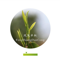 Shen Yes baby Chaozhou Phoenix Town Wushan Phoenix Single Cong Ginger Flower Fragrance Single Cong 100G 100g