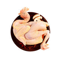 Shen Yes baby Ding Leis hen Fujian Longyan Changting 150-day free-range Hetian flying chicken