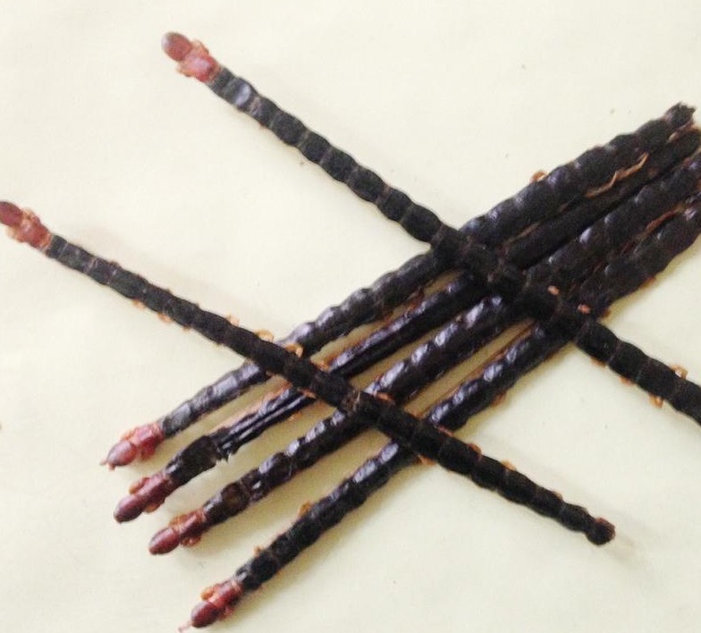 Centipede Wholesale Public Centipede 1 Centipede Dried Whole Centipede Red-headed Centipede Another Whole Worm