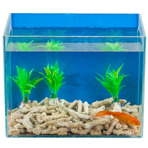 Аквариум, коралловый песок