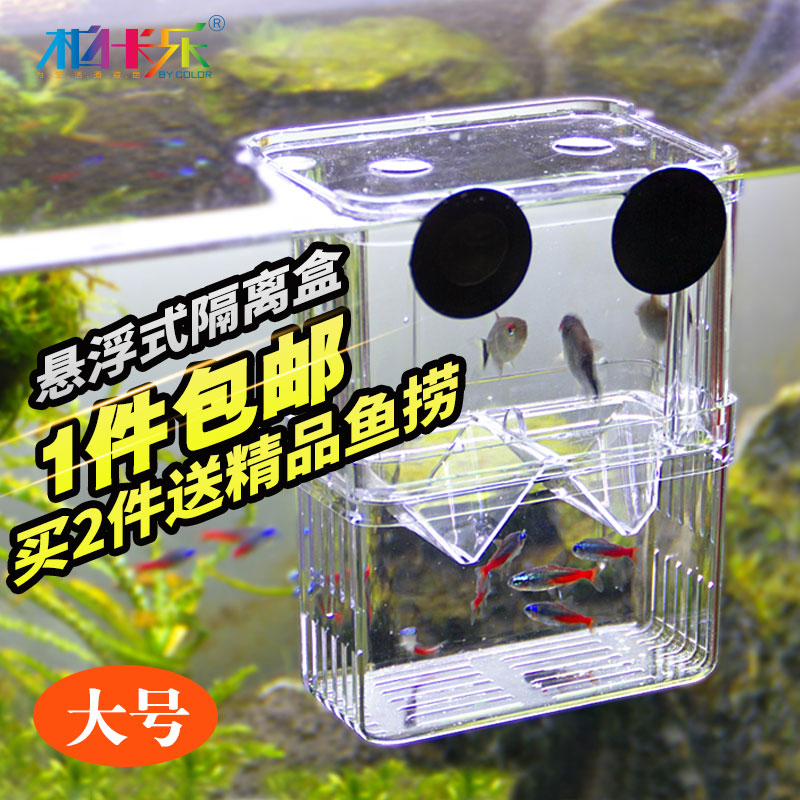 Pakalle fry breeding box Acrylic Guppy hatching box Hatching box Isolation box Juvenile betta box Large