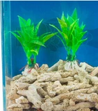 Аквариум, коралловый песок