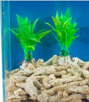 Аквариум, коралловый песок