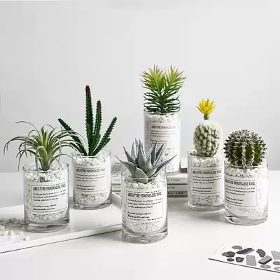Nordic simulation green plants small bonsai decoration fleshy cactus desktop creative fake potted ornaments