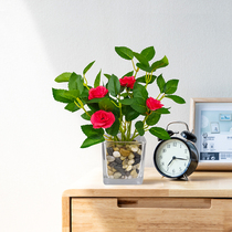 Simulation flower fake flower living room decoration indoor desktop dried flower coffee table table floral decoration glass small potted plants