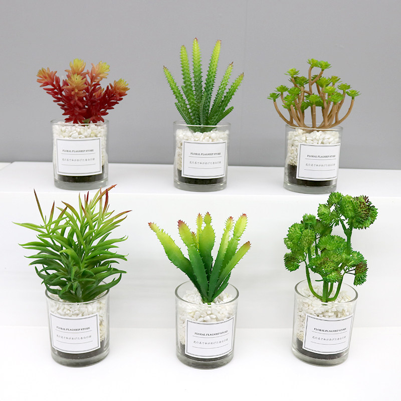 Succulent artificial plant ins Nordic potted cactus green plant decoration fake flower desktop small ornaments indoor living room 