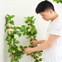 Simulation Vines Fake Leaves Ceiling Decoration Air Conditioning Water Pipe Tract Shelter Fake Flowers Vine Plant Plastic Green Loaf Twine