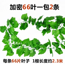 Simulation vines flower vine fake flower vine plant grape leaf leaves green leaf piping suspended ceiling decoration plastic reptile mountain tiger