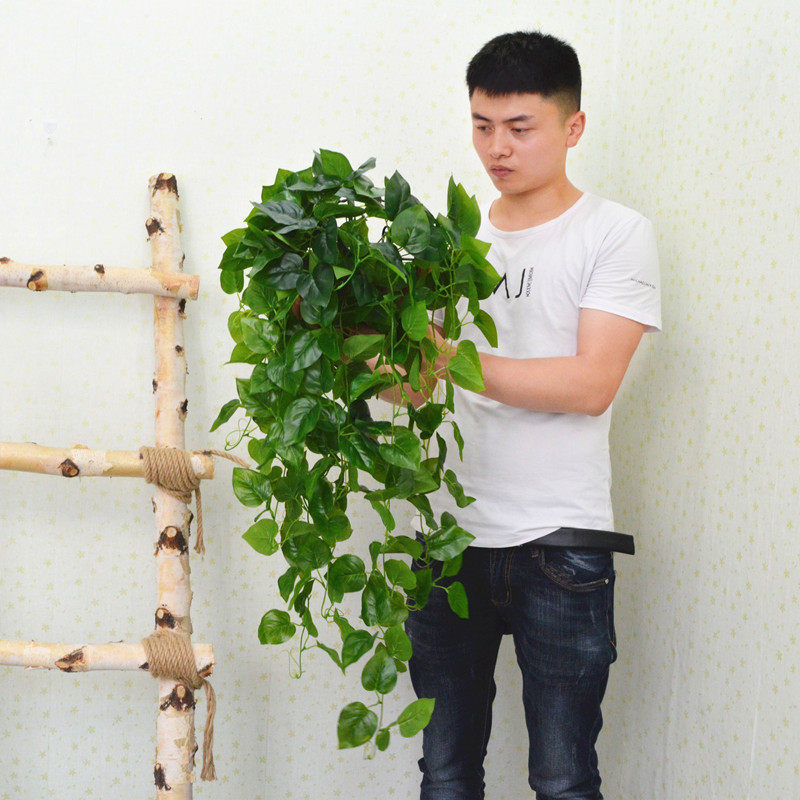 Simulation Gold Ge Living room hanging wall Green Planting Wall-mounted Plant Decoration Hanging Fake Flowers Vines Indoor Vines Chandelia Hanging Basket