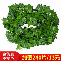 Simulation grape leaf fake flower Vine Vine plant leaf green leaf water pipe ceiling decorative plastic green leaf
