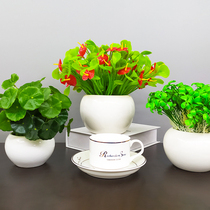 Simulation flower plastic fake flower ceramic green plant decorations living room home desktop furnishings fleshy small potted plants