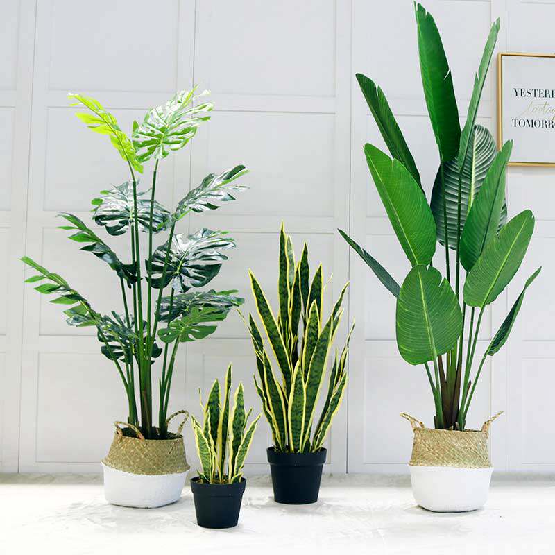 Simulation Plant Brigade People Banana Tree Tortoise Back Leaf Fake Green Planting Potted Indoor Living Room Large Floor Bonsai Decoration Pendulum Decoration