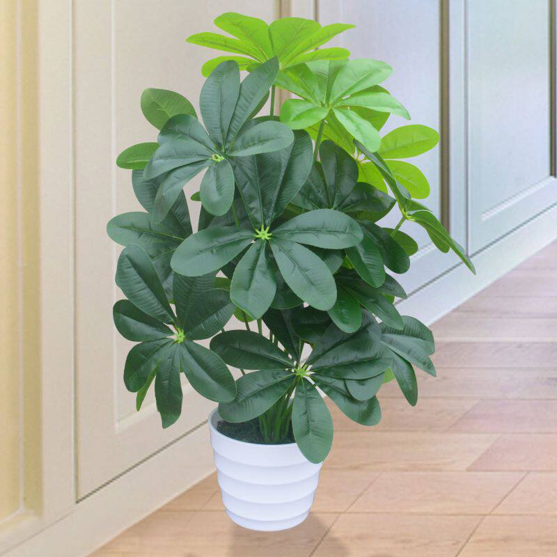 Fake Tree Emulation Hair Treasure Tree Money Leaf Potted Landscape Living-room Indoor Floor Decoration Large Green Planting Plastic Plant Pendulum Pieces